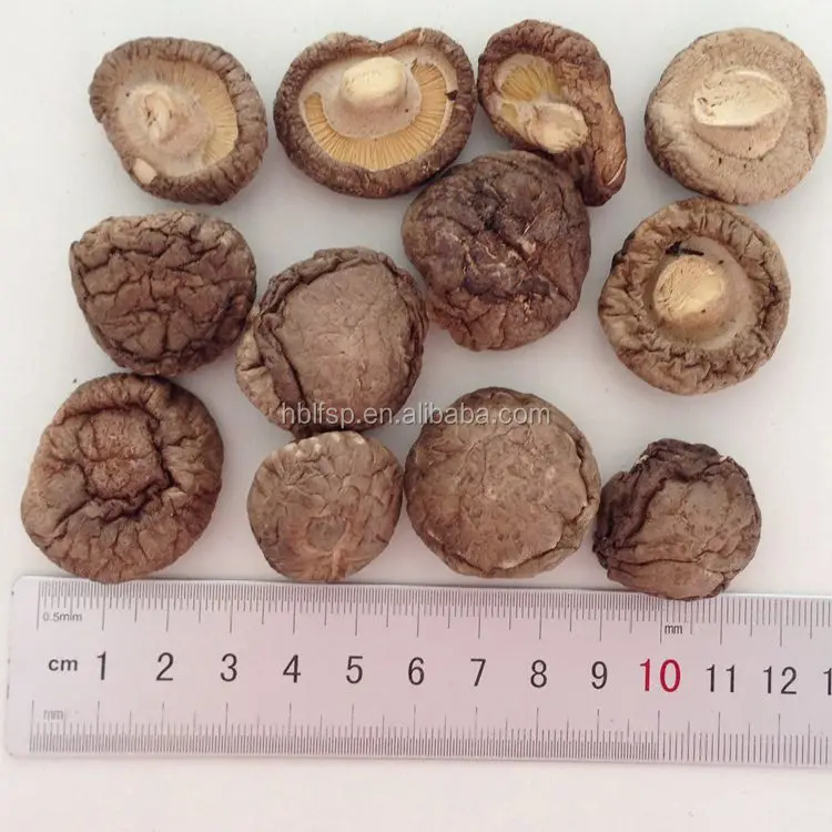
China Dried Shiitake Mushroom with 3-4 CM 