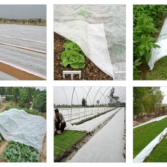 Сельскохозяйственная Нетканая Ткань используемая для культивирования овощей и