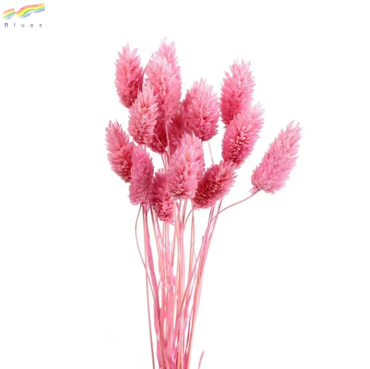 Natural Dried Mini Flower Small Gem Grass for Decoration Phalaris Bundle 20pcs/bag