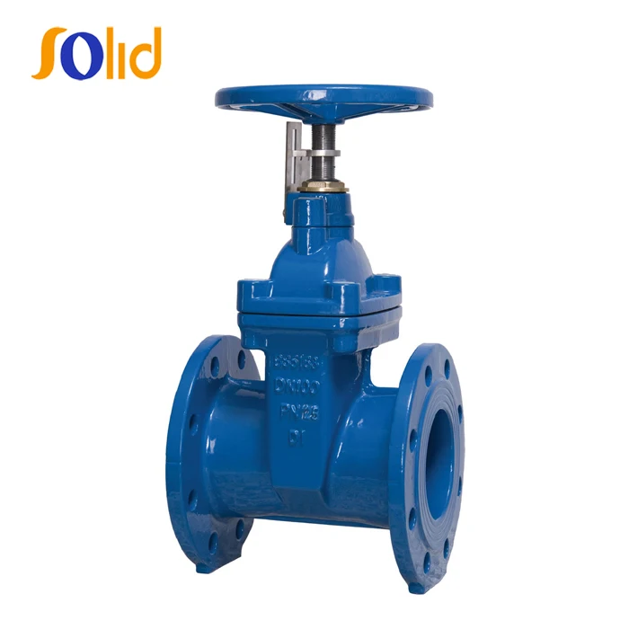 
BS5163/ EN 1171 PN25 Rising Stem Resilient Seated Gate Valve 
