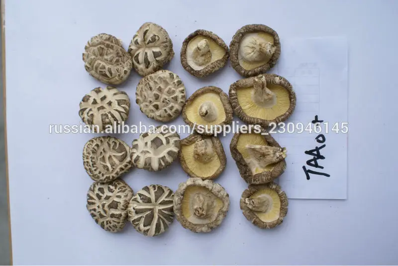 Китайские грибы шиитаке