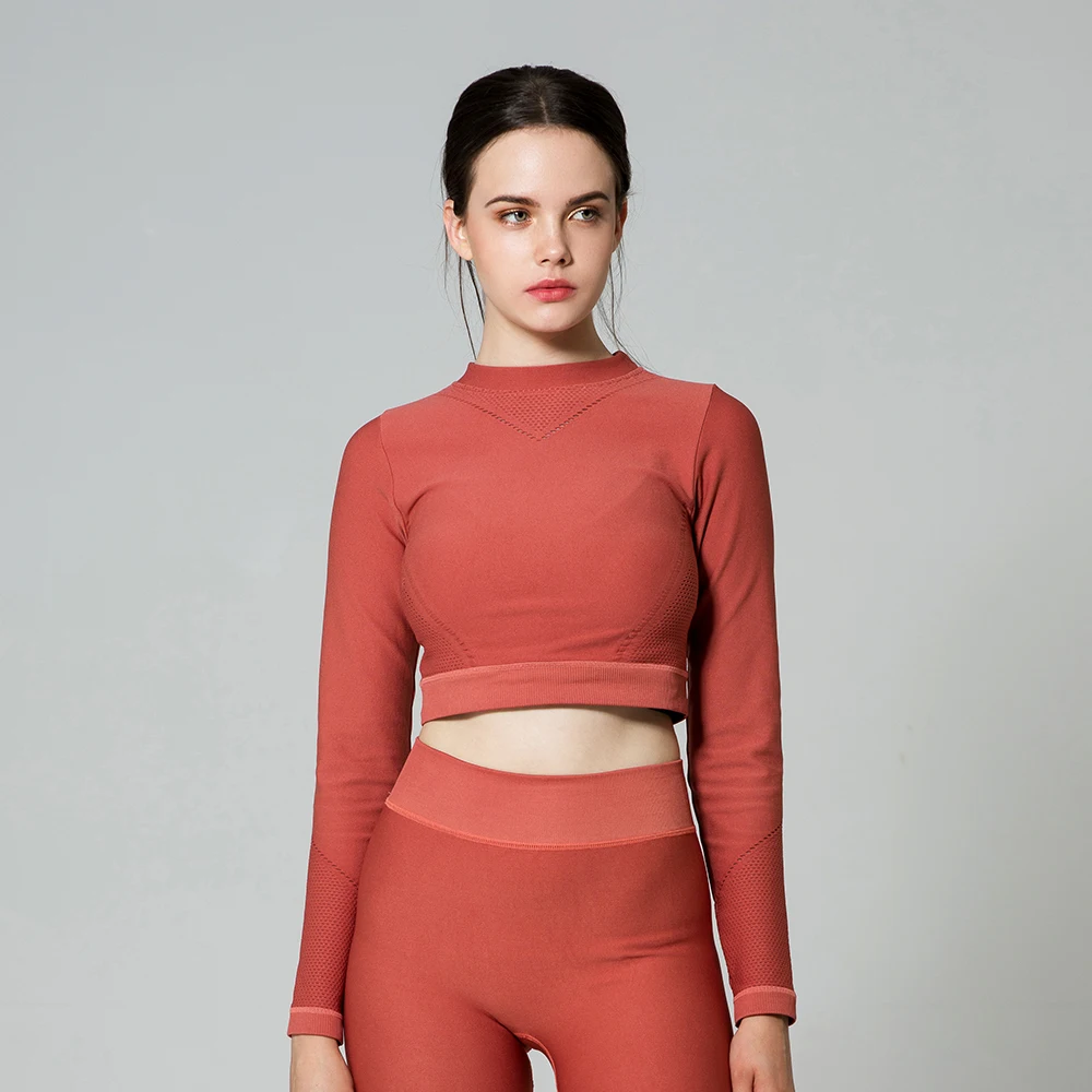 wholesale Plain blank sport shirt long sleeve women workout sports crop top for women