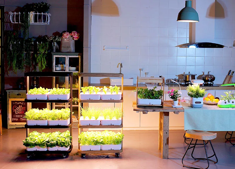 Fully Automated Smart Hydroponic Pots at-Home Grow System with Hydroponic Trays