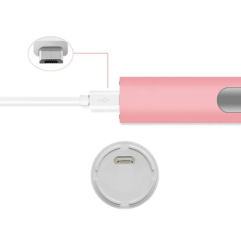 
PT3S Free Sample 10 Years Oral Care Factory USB Rechargeable Powered Vibrate Automatic Sonic Electric Toothbrush 