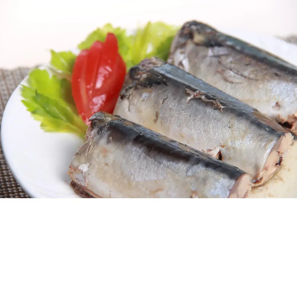 canned mackerel supplier