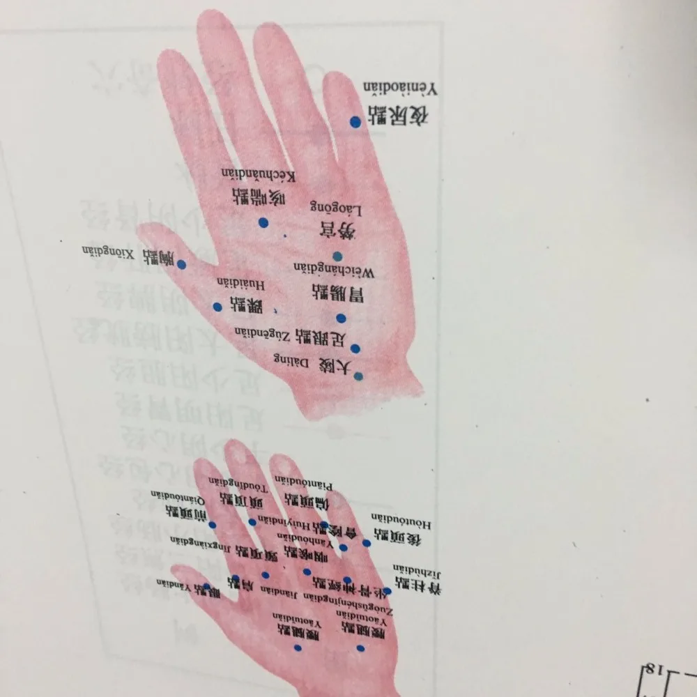 Chinese medical Acupuncture Charts points