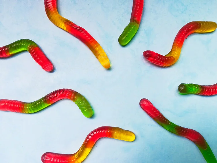 multi-color oil coated worms gummy candy