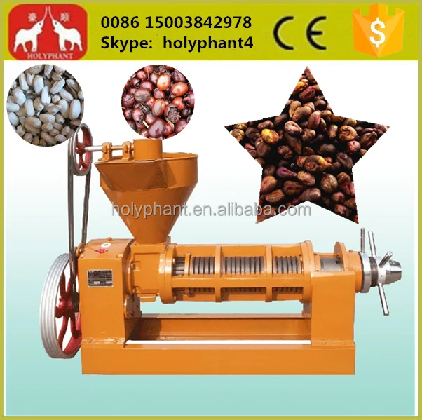 Professinal manufacturer cold avocado oil extraction machine
