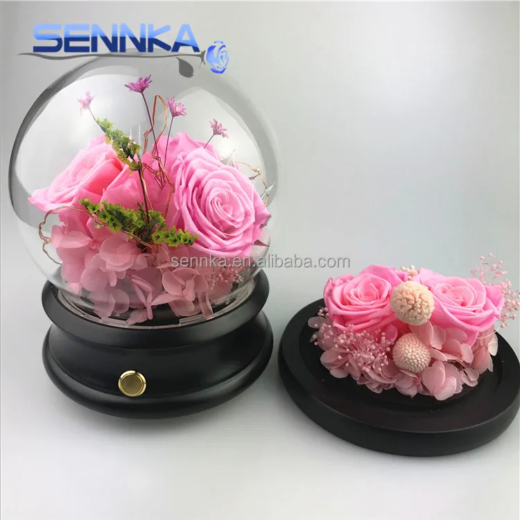 wholesale fresh Preserved flower in glass roses preserved flowers DIY decoration