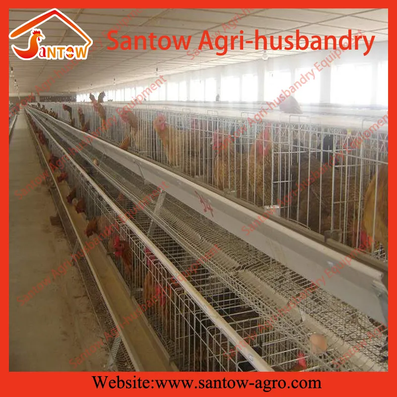 Automatic chicken cages hot galvanized poultry cage cheap price breeder cages birds for layer farm design