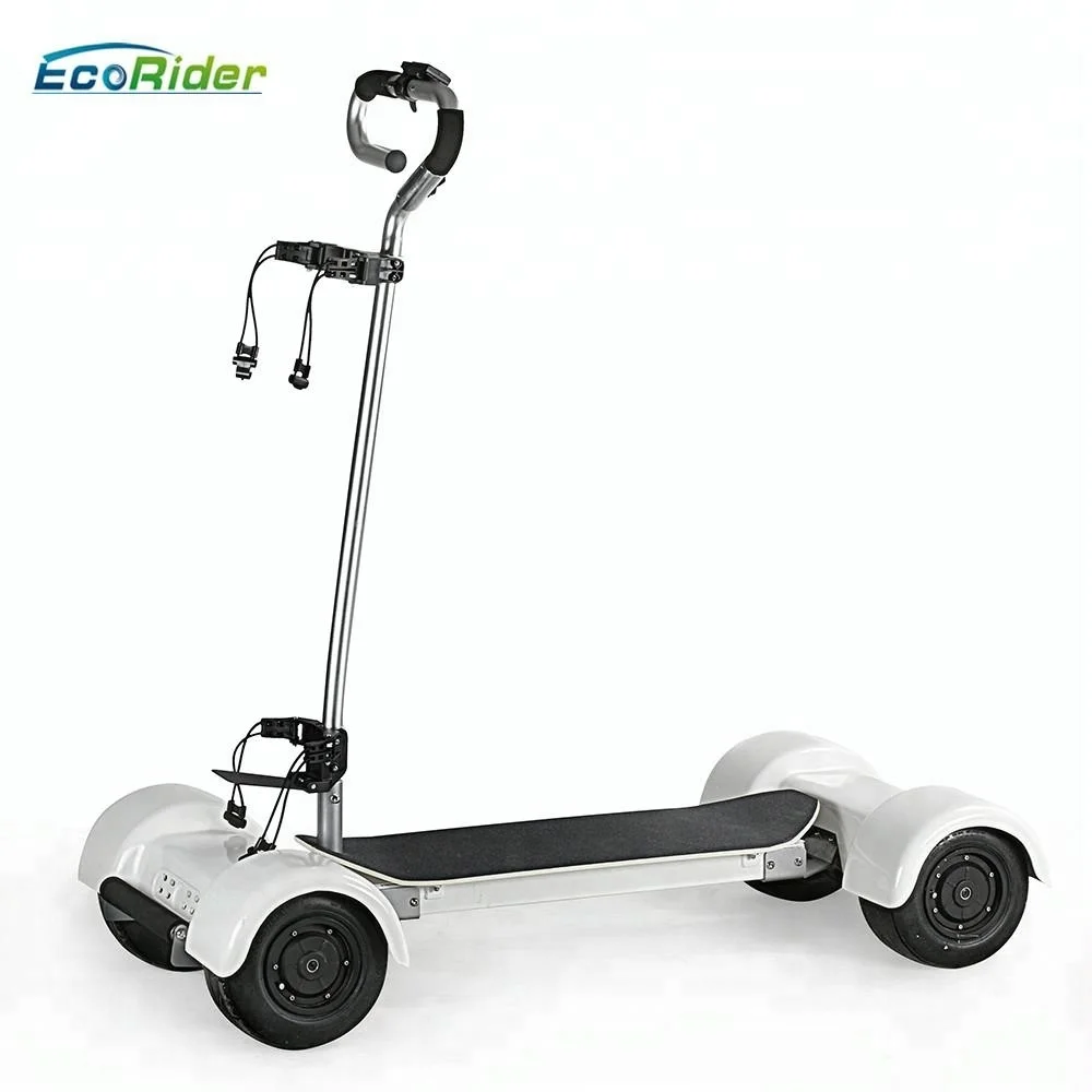 1000w   Electric Golf Board 10inch  Golf Cart electric scooter with chart bag holder