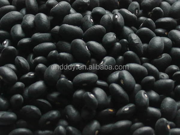 
NEW crop black kidney bean 