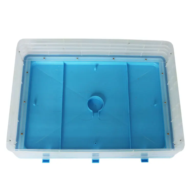New Type  300 Eggs Incubator for Sale  12 Volt Battery with WIFI and Support IOS or Android