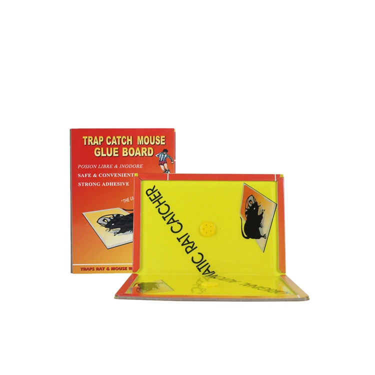 Nigeria Market Best-Selling Paper Mouse/rat catch plastic glue humane mouse trap