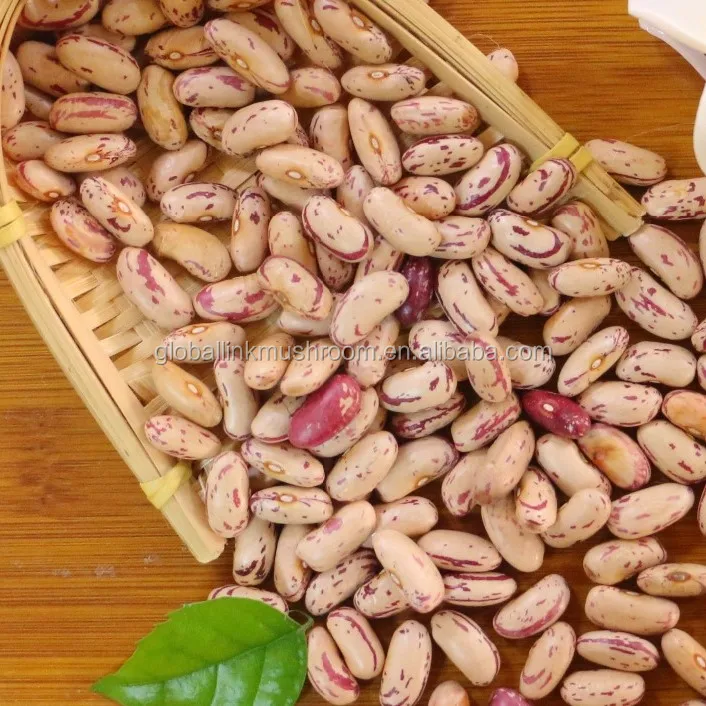 Round Light Speckled Kidney Beans LSKB for India | Pakistan | Yemen