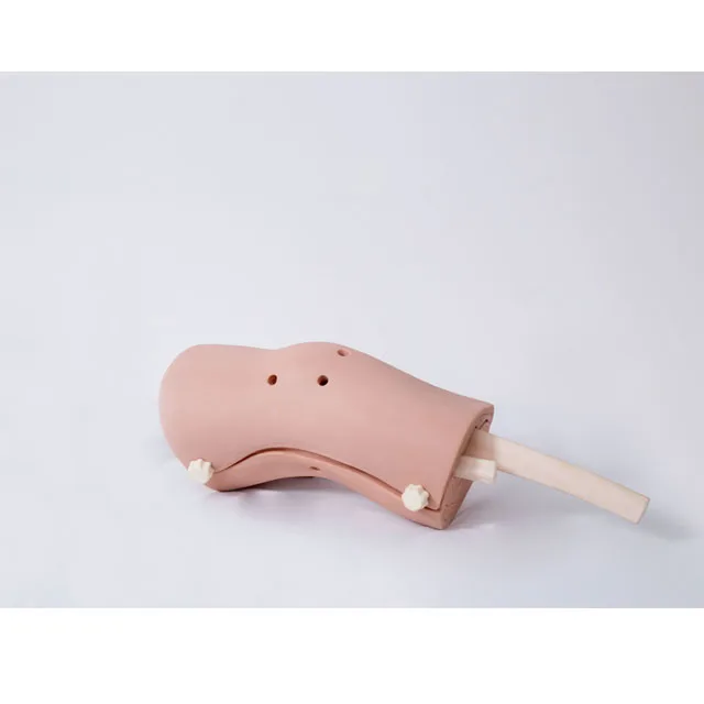 GD/LV75 General Doctor Knee Arthroscopy Model