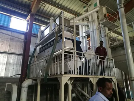 Arabica Coffee Bean Cleaning Line in Ethiopia Green Coffee Processing Line