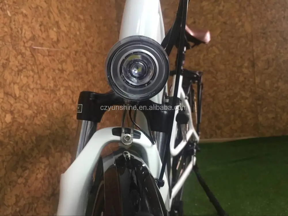 
Country woman, canada electric ebike with speedometer 