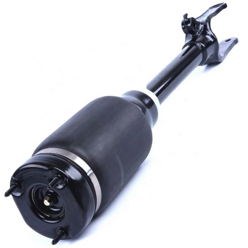 Bapmic A1643204513 A1643206113 1643204513 1643206113 Auto Front Shock Absorber For W164