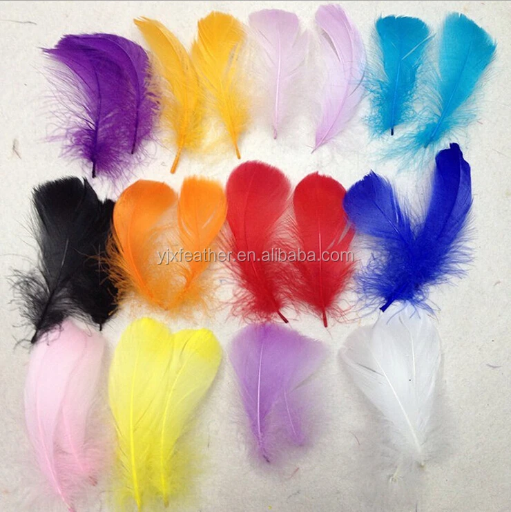 duck eiderdown duck feather natural goose feather free shipping for sale