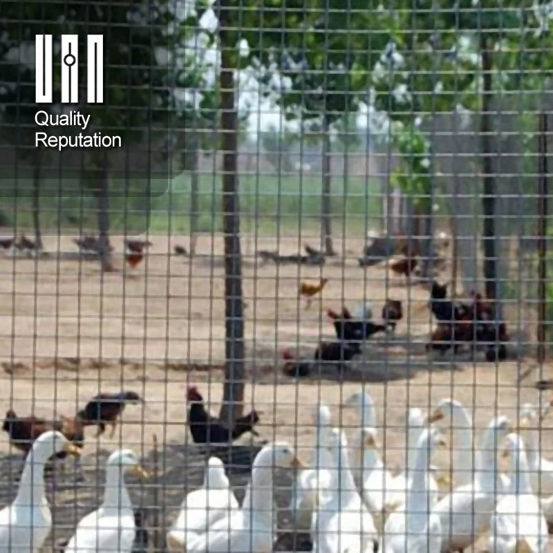 Brc пластиковые куриные сварные проволочные сетки цена