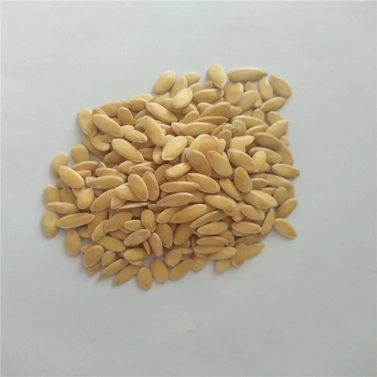 Китайские гибридные семена дыни с хорошими заболеваниями