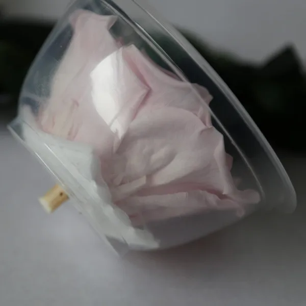 
Online Sale Preserved Flower Buds For Centerpieces From KIFA Center 