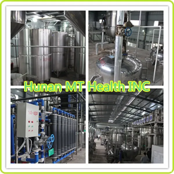 Organic 2%Silica acid Horsetail Herb Extract Powder in shampoo for hair