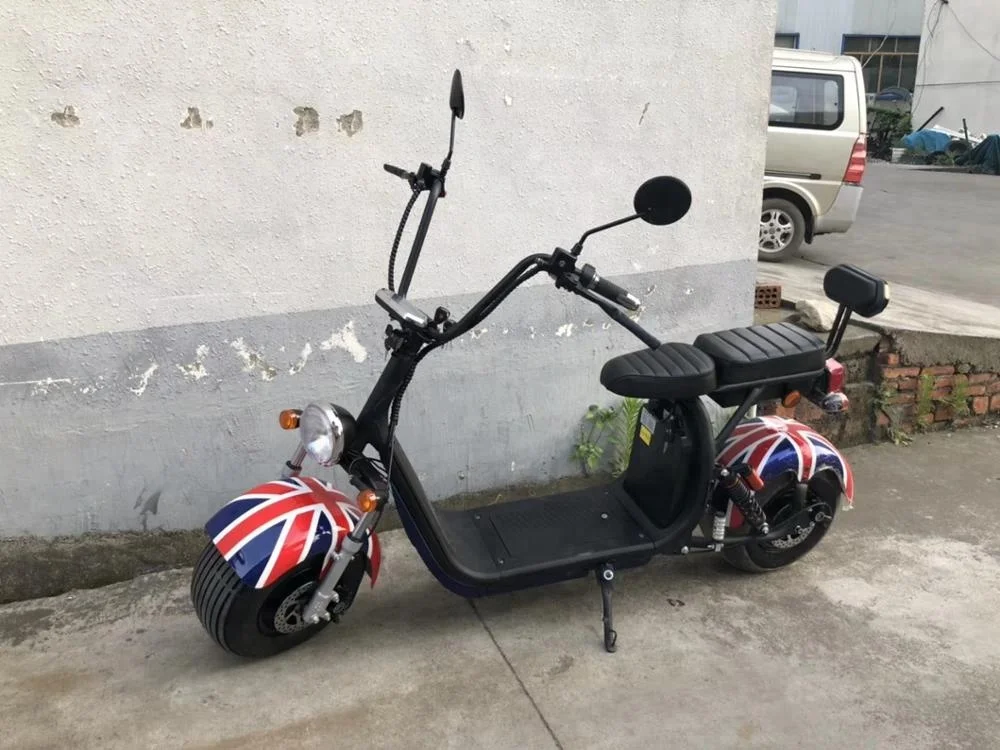 EEC certificate  citycoco electric scooter for adult with fat tires at nice price