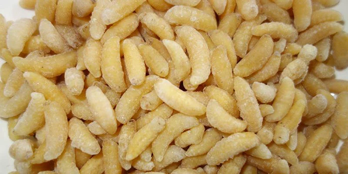 
Wasp Pupa Frozen Food Pet Food 