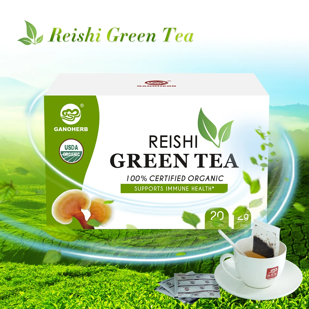 Free Sample Chinese Organic Herbal Green Tea With 100% Certified Organic Reishi mushroom In Bag Best Brands Price