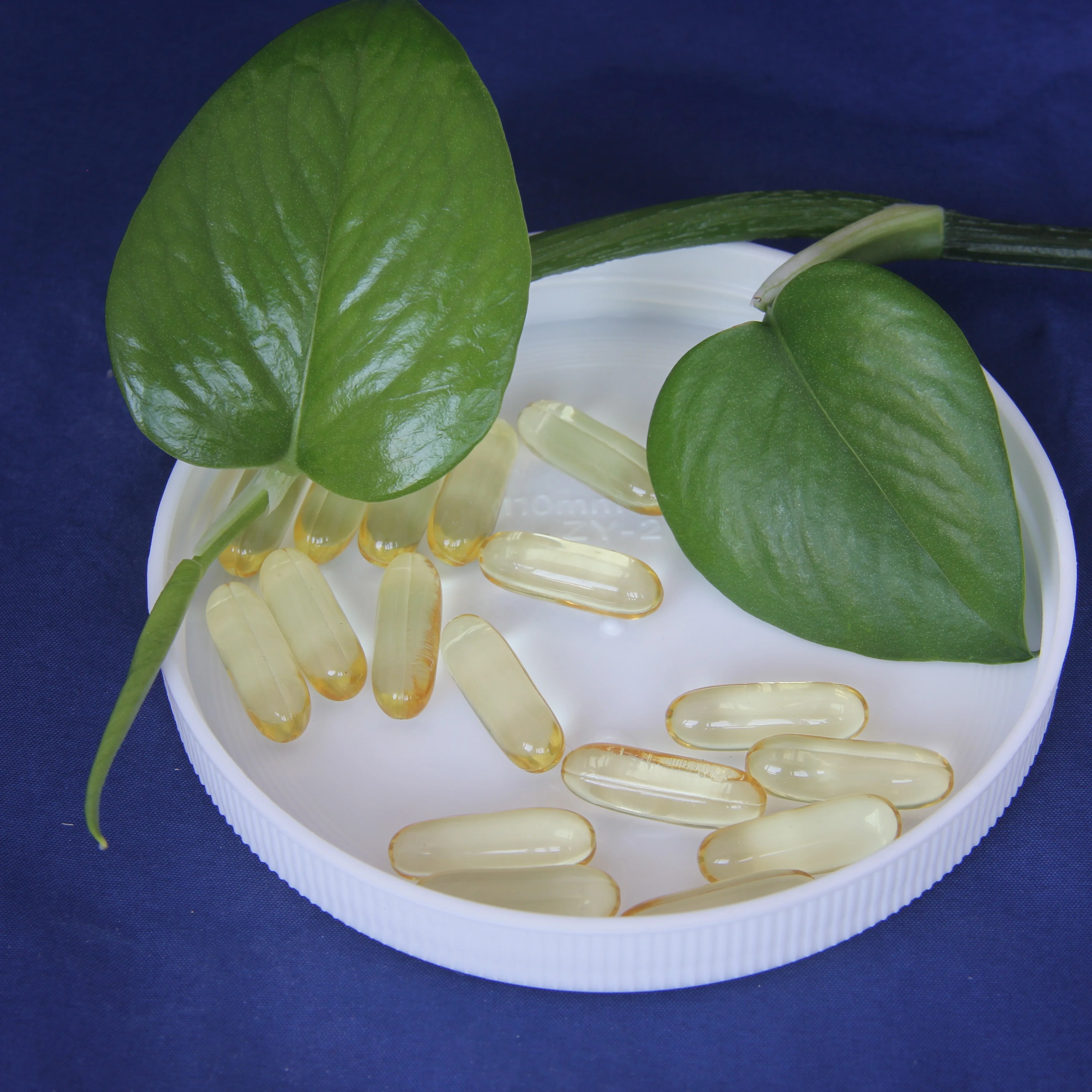 
OEM factory Dietary supplement garlic oil softgel 