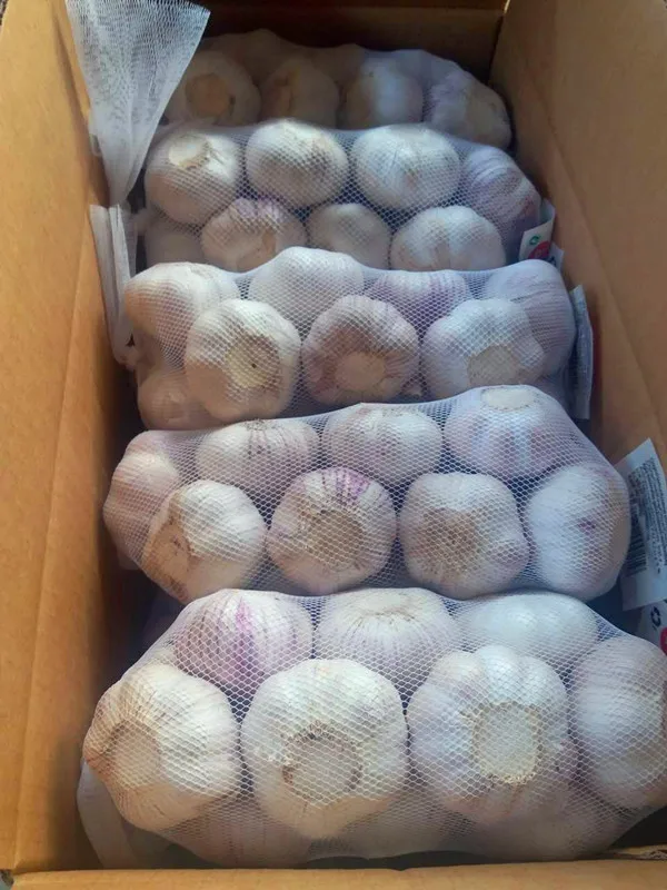 Bull Wholesale ZLM Brand Fresh Garlic For Sale