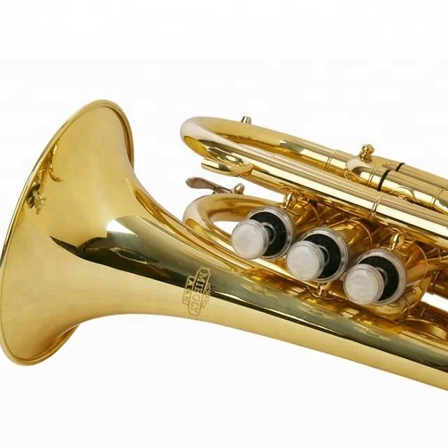 
Accept OEM DSPT-5801 Gold Lacquer Pocket Trumpet 