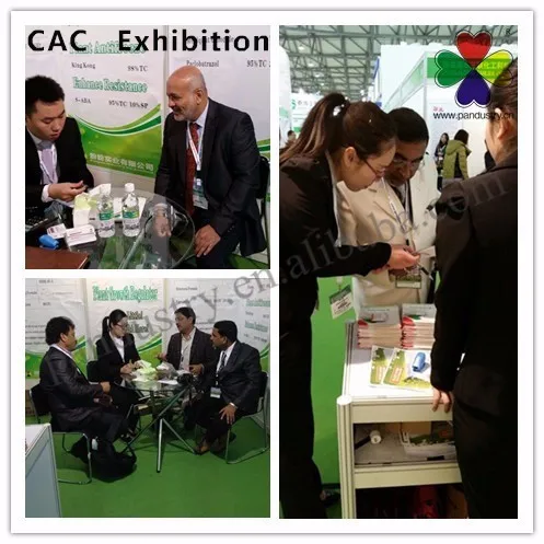 
Pesticide Fungicide Fludioxonil 98%TC Used In Agriculture for sale 