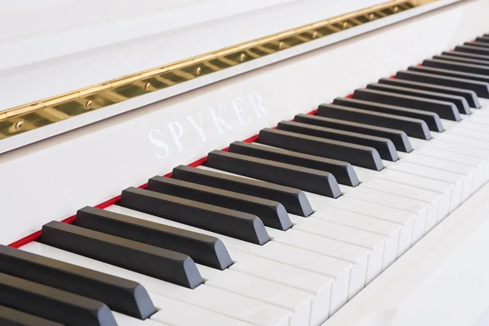 Fantastic Home Acoustic Upright Piano Black Polished HD-L126G For Sale