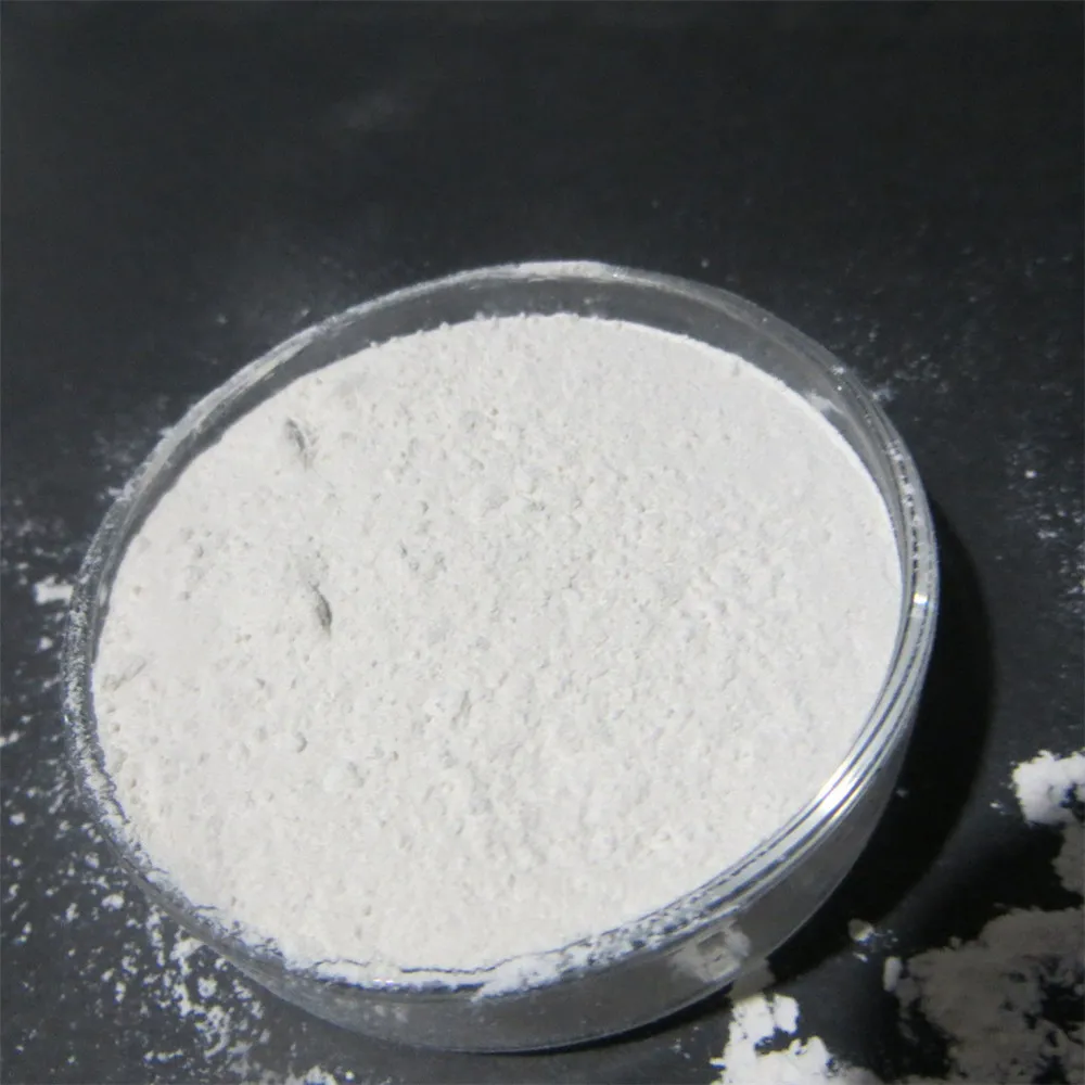 Caustic Calcine Magnesite (CCM)