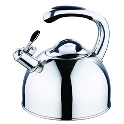 Realwin stainless steel whistling tea kettle dubai with tube icool handle