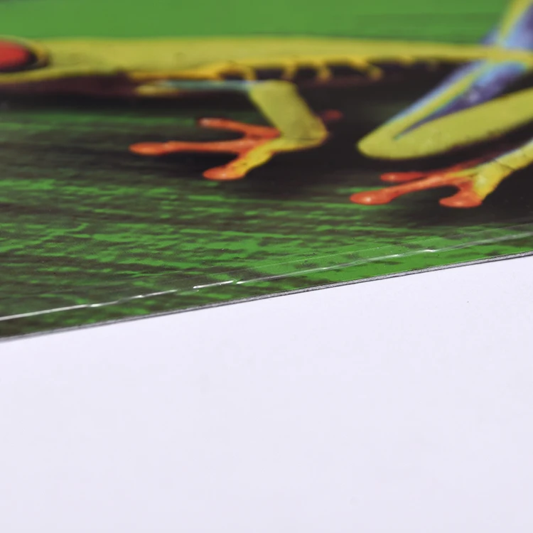 Мода Колумбия письмо и лягушка листья шаблон печатных номерной знак