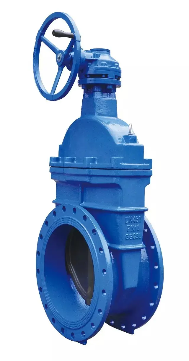 
Resilient seated gate valve 