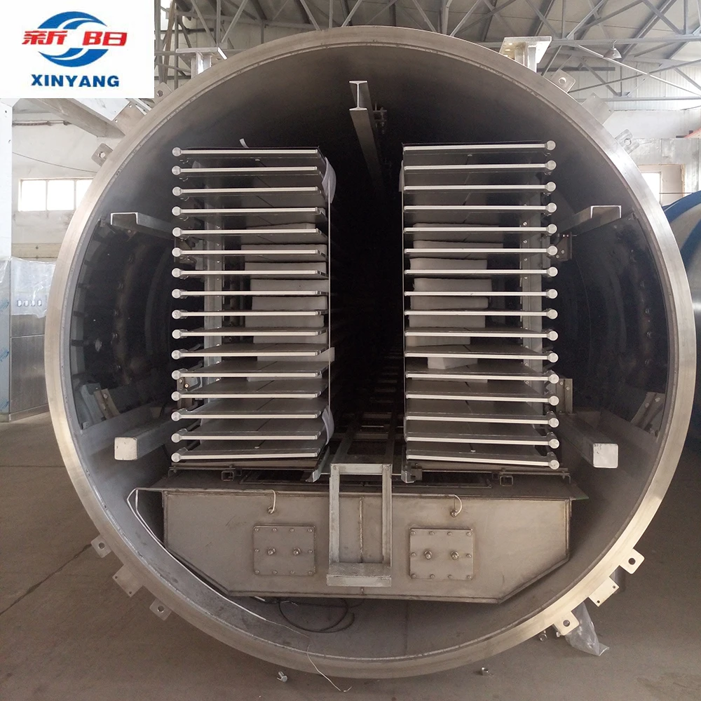 Xinyang fruit freeze dryer manufacture for freeze drying machine vacuum lyophilizer for sale