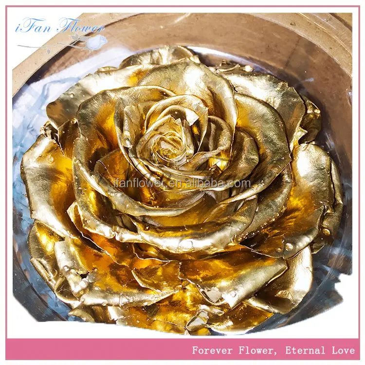 China gold manufacturer useful popularity items freeze dried real touch roses