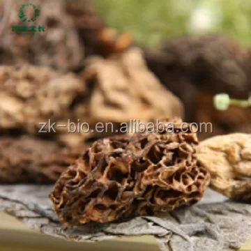 
Organic dried agaricus blazei mushroom 