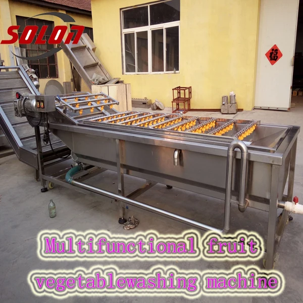 Best sale stainless steel ozone generator fruit and vegetable washer for cleaning vegetables