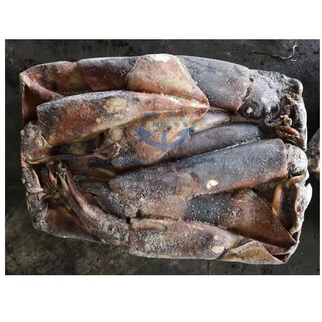 
Seafrozen jig catching Frozen equator squid 