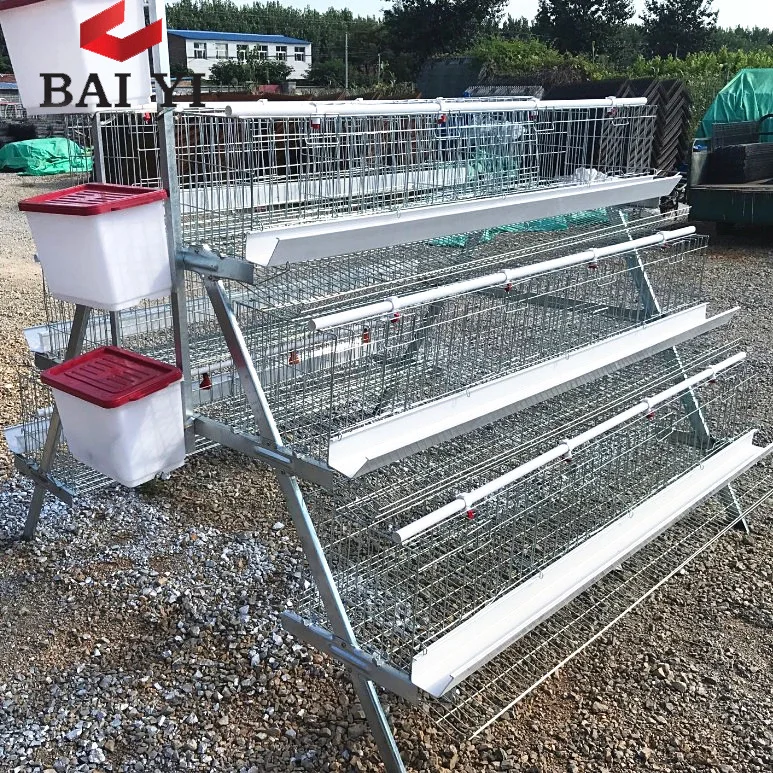 Poultry Farm in Malaysia Hot Sale Chicken Cage