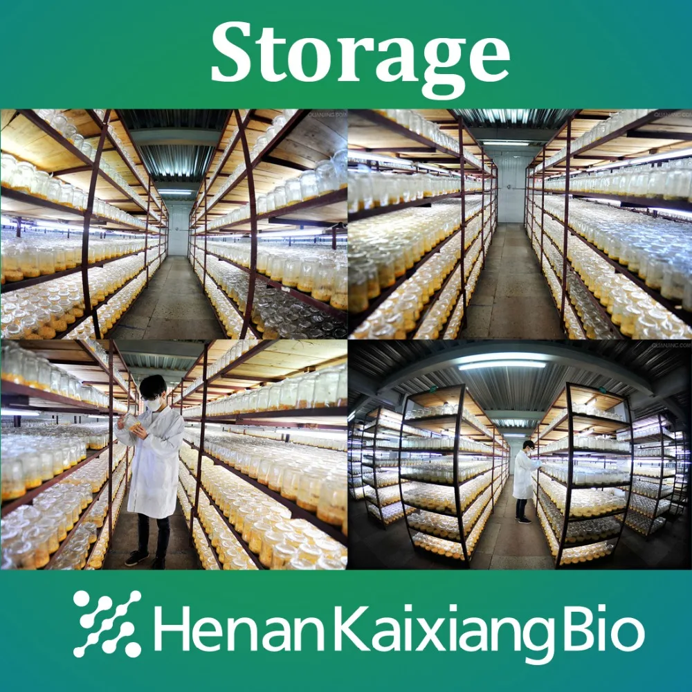 
Pure Natural Stevia leaf extract powder, Stevia rebaudiana extract-80%, 90%, 95% stevioside 