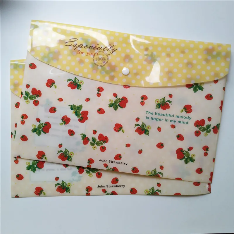 
button a4 size pp file folder 
