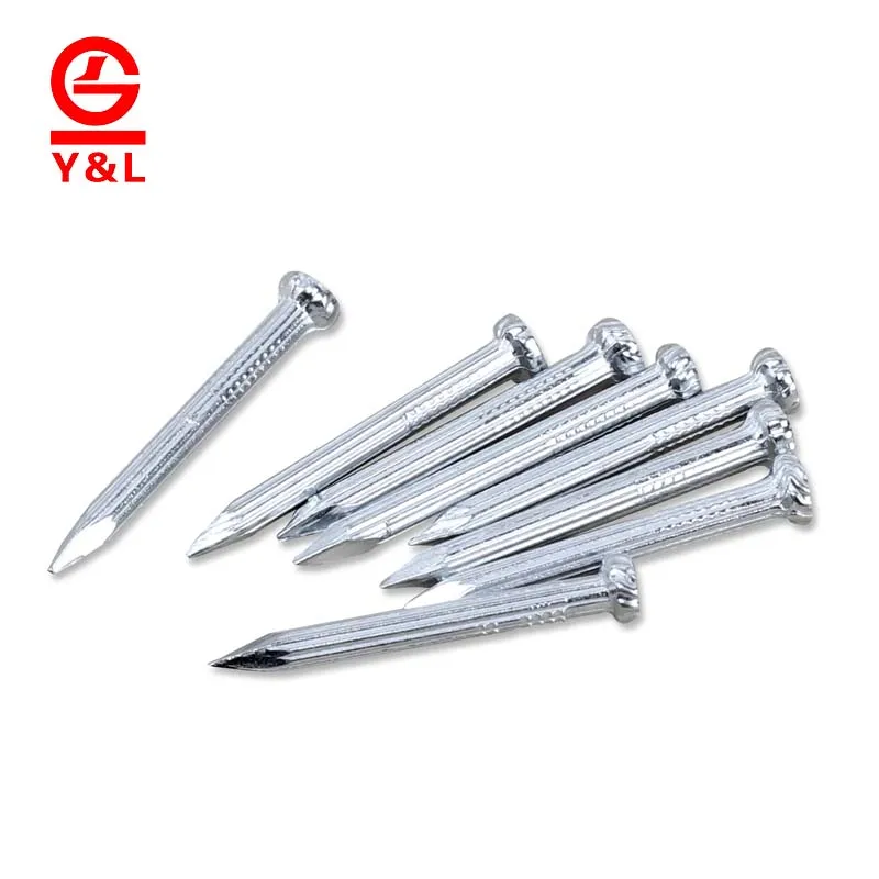 China manufactures steel cement concrete nail for construction
