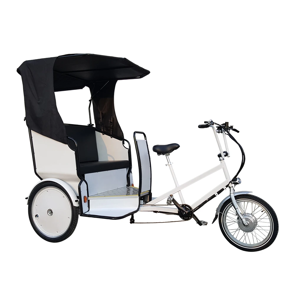 Hot sale 2 Passengers Mini Taxi Electric Assistant Touring Pedicab Rickshaw